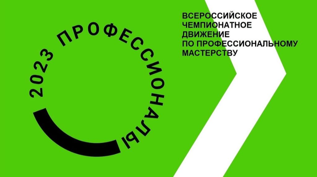 профессионалы 2023.png